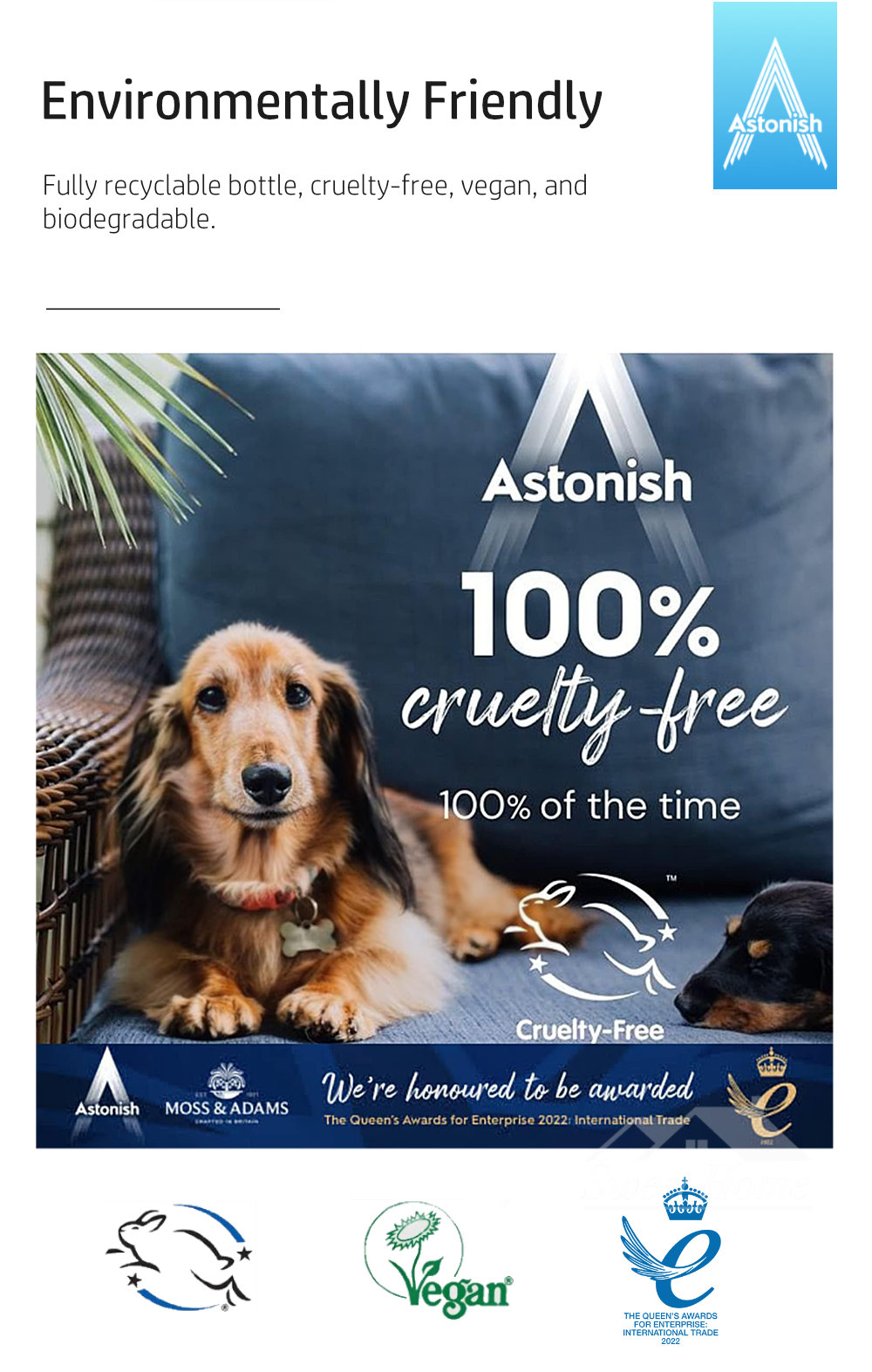 Astonish-Specialist-C6950-Extra-Strength-7